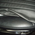 closeup of new squab on 10 month old ML 500 seat